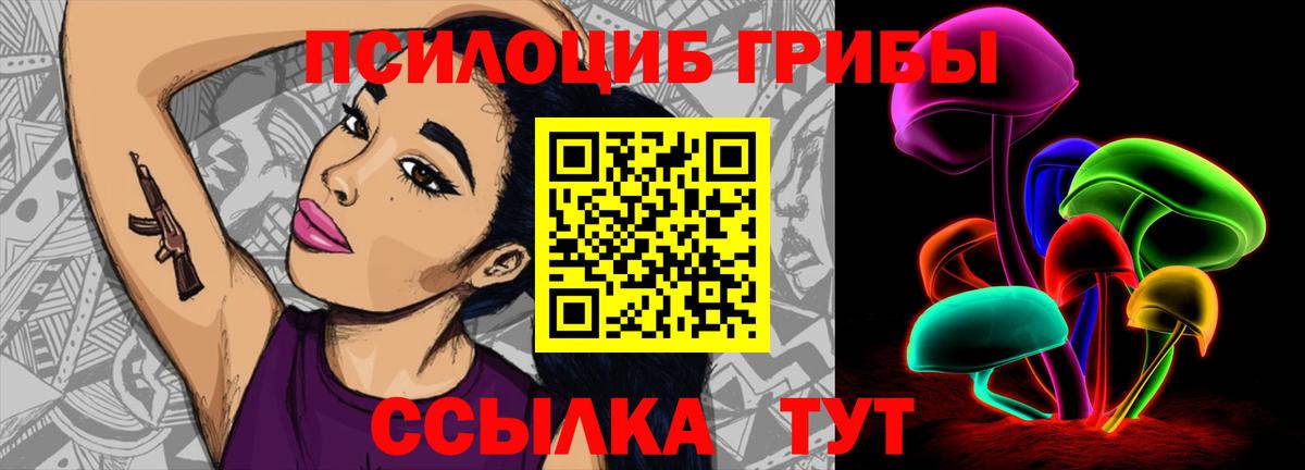 Северск  Псилоцибиновые грибы прущие грибы  Вход с VPN  Псилоцибиновые грибы мухоморы 